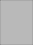 ADA Alternative 321-304 Серебро